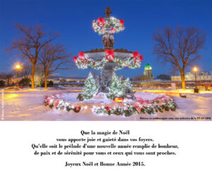 Master Noël_RéseauxSociaux2014